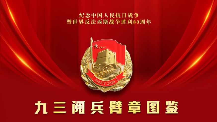 請收藏！九三閱兵臂章圖鑒