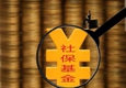 半年報(bào)露出社?；鸲径葎?dòng)向