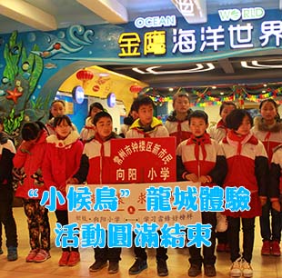 第52個學(xué)雷鋒日 “小候鳥”龍城體驗活動圓滿結(jié)束
