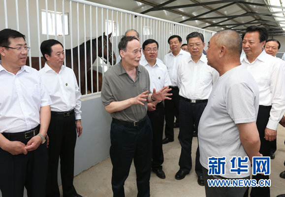 這是7月3日，王岐山在錫林浩特市義合良種馬繁育基地考察。新華社記者 龐興雷 攝