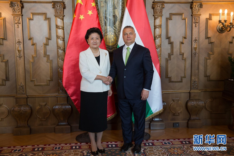  6月21日，國務院副總理劉延東（左）在匈牙利布達佩斯國會大廈會見匈牙利總理歐爾班。 新華社發(fā)（弗爾季·奧蒂洛攝）