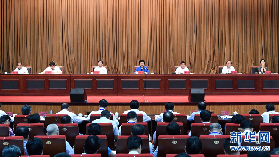 6月25日，全國民族團(tuán)結(jié)進(jìn)步創(chuàng)建經(jīng)驗(yàn)交流現(xiàn)場會在內(nèi)蒙古興安盟召開，中共中央政治局委員、國務(wù)院副總理劉延?xùn)|出席會議并講話。 新華社記者 陳曄華 攝