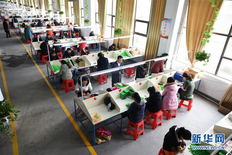 （在習(xí)近平新時(shí)代中國(guó)特色社會(huì)主義思想指引下——新時(shí)代新作為新篇章·圖文互動(dòng)）（5）“搬遷到哪里，服務(wù)就延伸到哪里”——貴州推進(jìn)易地扶貧搬遷“后半篇文章” 