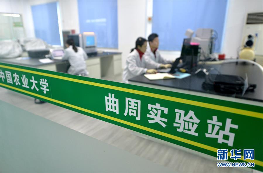 （愛國情 奮斗者·圖文互動）（3） “解民生之多艱，育天下之英才”——中國農(nóng)大師生扎根田野書寫奉獻之歌