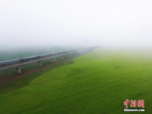 資料圖：動(dòng)車組穿越雨霧中的油菜花海宛若穿越時(shí)空。 楊艷敏 攝