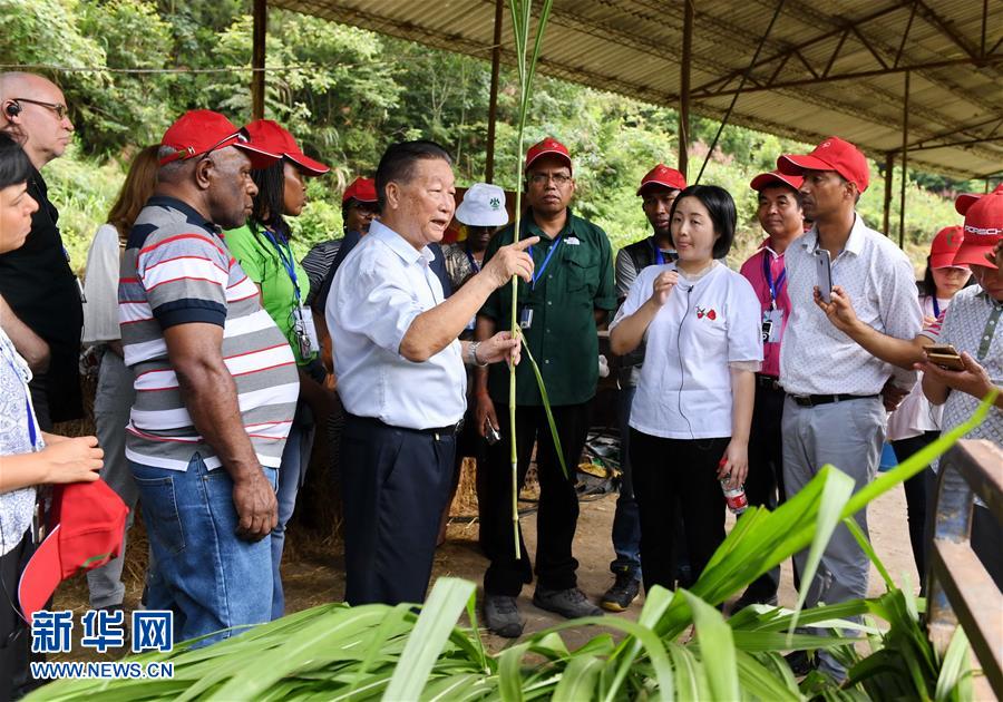 （不忘初心、牢記使命·圖文互動）（5）拳拳寸草心 濃濃報國情——記“菌草之父”林占熺