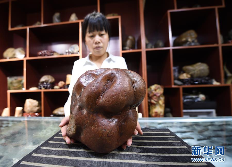(圖文互動(dòng))(6)黑龍江海倫發(fā)現(xiàn)罕見古生物群
