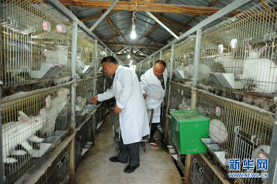 （新華全媒頭條·圖文互動）（4）干部去哪兒了？——貴州干部大規(guī)模下沉脫貧攻堅一線紀(jì)實(shí)