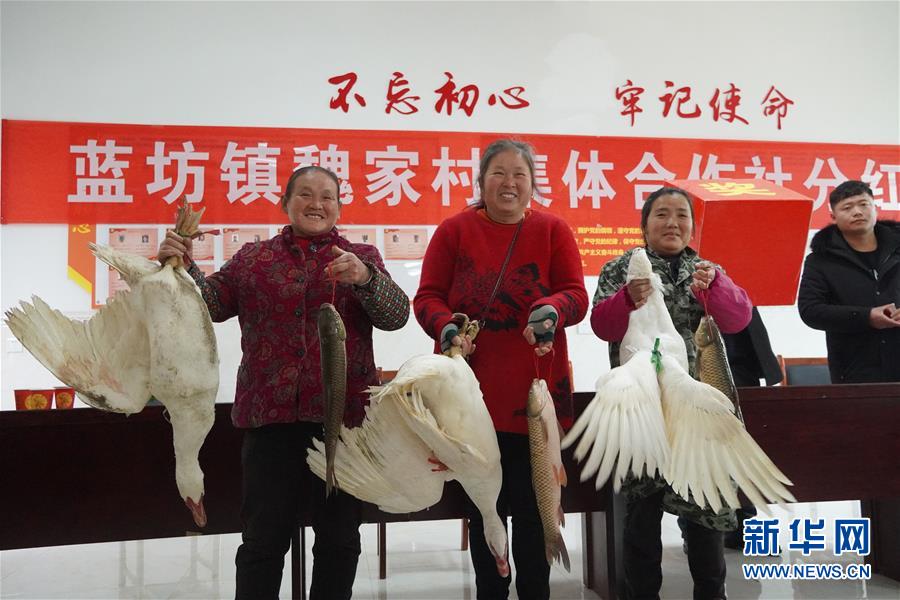 （新春走基層·圖文互動(dòng)）（4）“空殼村”分紅啦！