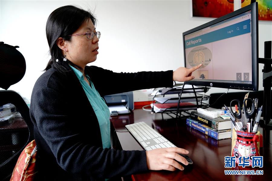 （圖文互動）（1）攻擊行為如何被大腦控制？科學(xué)家在小鼠大腦中發(fā)現(xiàn)“調(diào)節(jié)開關(guān)”