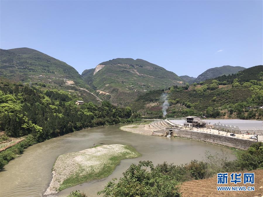 （決戰(zhàn)決勝脫貧攻堅(jiān)·圖文互動）（1）野奶角又見春天