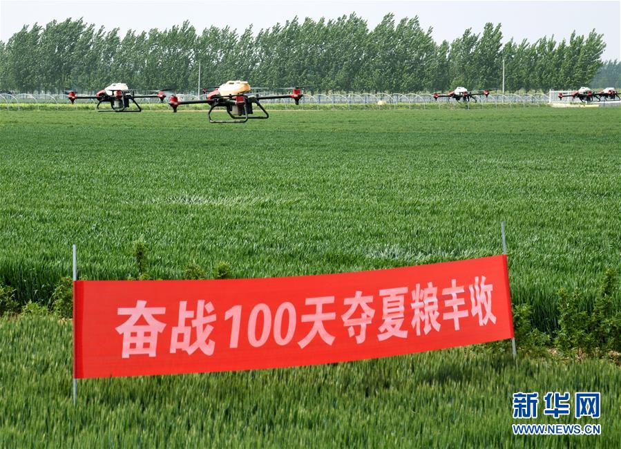 （在習(xí)近平新時代中國特色社會主義思想指引下——新時代新作為新篇章·習(xí)近平總書記關(guān)切事·圖文互動）（9）新農(nóng)事、新希望——夏收前田間新動態(tài)掃描