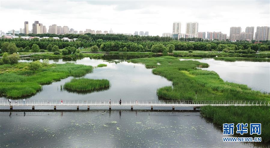 （走向我們的小康生活·圖文互動(dòng)）（1）水清、地綠、空氣新——最北省份黑龍江繪就生態(tài)治理新畫卷