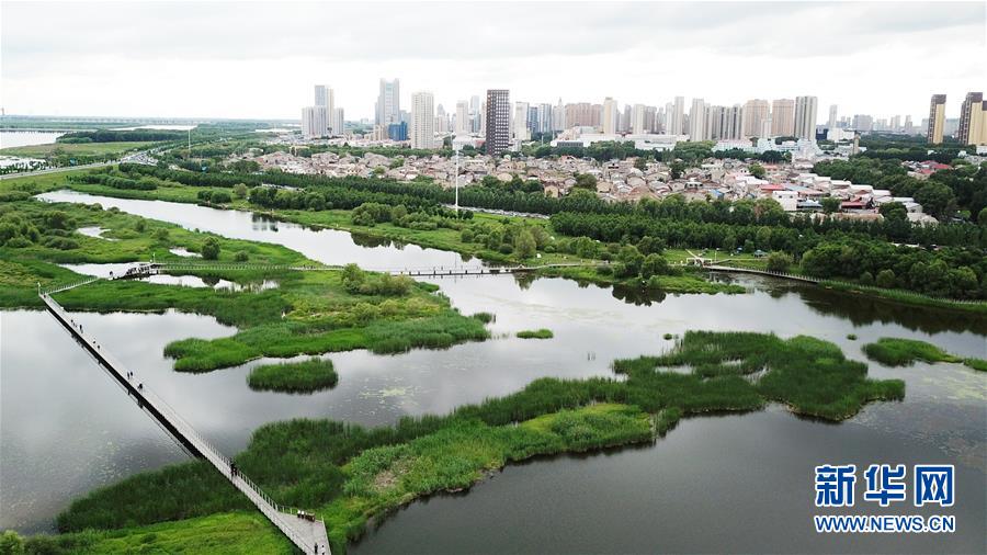 （走向我們的小康生活·圖文互動(dòng)）（2）水清、地綠、空氣新——最北省份黑龍江繪就生態(tài)治理新畫卷