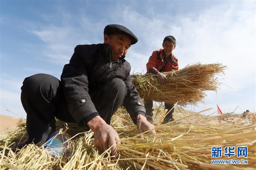 （在習(xí)近平新時(shí)代中國特色社會(huì)主義思想指引下——新時(shí)代新作為新篇章·習(xí)近平總書記關(guān)切事·圖文互動(dòng)）（5）綠色映底蘊(yùn)，山水見初心——生態(tài)優(yōu)先、綠色發(fā)展持續(xù)造福群眾美好生活