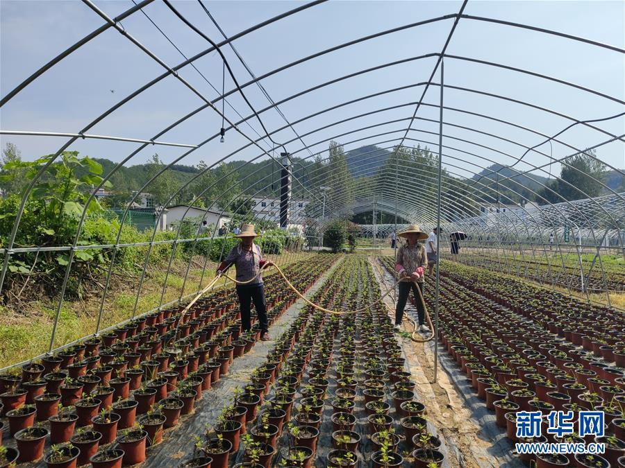 （決戰(zhàn)決勝脫貧攻堅·圖文互動）（3）安居樂業(yè)并重，搬遷脫貧同步——湖北88萬搬遷群眾脫貧觀察 