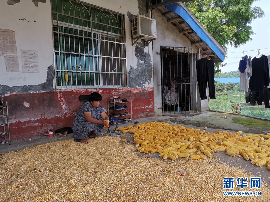 （新華視點(diǎn)·聚焦餐桌外的浪費(fèi)·圖文互動(dòng)）（3）農(nóng)戶(hù)儲(chǔ)糧損失達(dá)8%！設(shè)施普遍簡(jiǎn)陋，蟲(chóng)害霉變堪憂