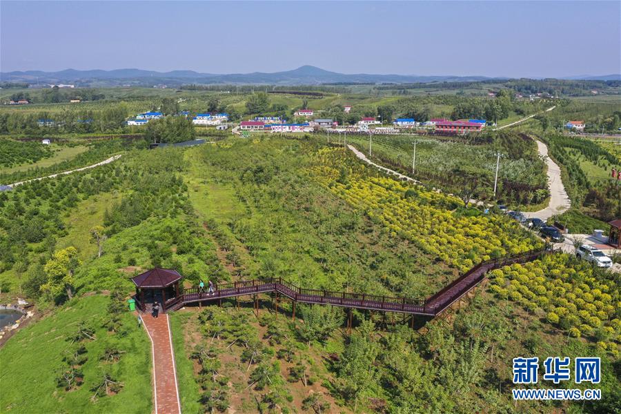 （新華全媒頭條·走向我們的小康生活·圖文互動）（16）黑土地上是我家——在吉林，一瞥中國東北鄉(xiāng)村美麗未來