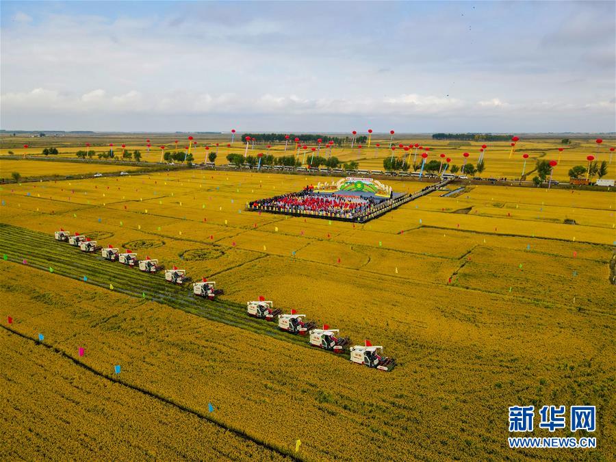 （新華全媒頭條·圖文互動(dòng)）（16）奮斗結(jié)碩果，再寫新篇章——寫在共和國71周年華誕之際