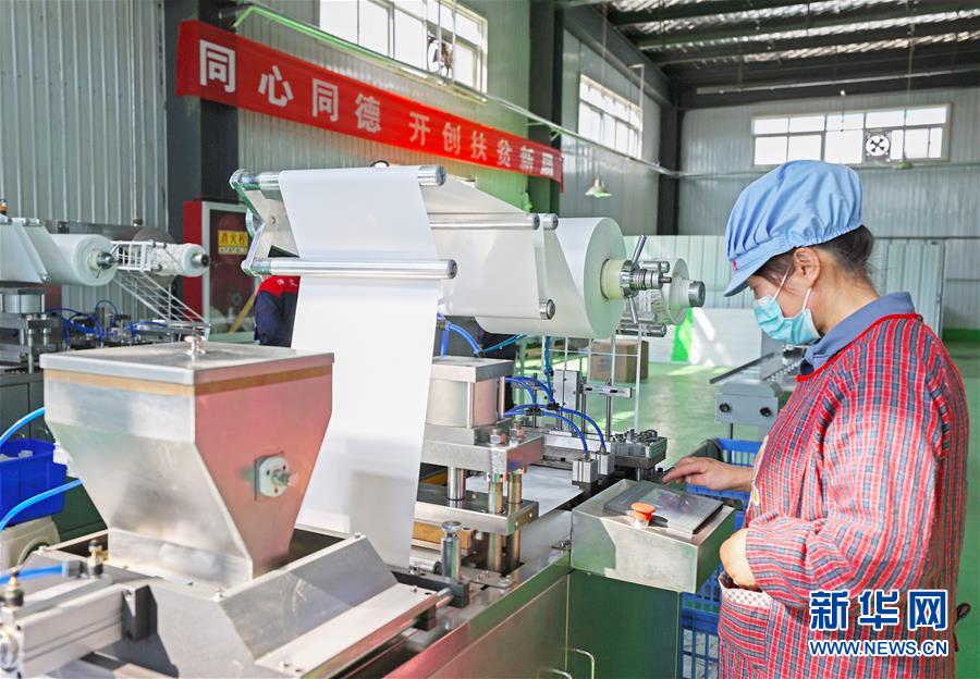 （在習近平新時代中國特色社會主義思想指引下——新時代新作為新篇章·習近平總書記關切事·圖文互動）（2）“綠色銀行”發(fā)工資、“股東”分紅來敲門……——探索長效脫貧致富新機制見聞