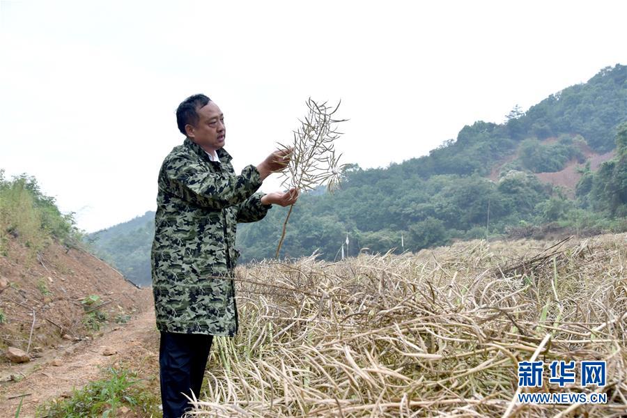 （代表委員履職·圖文互動）（1）“我是農(nóng)民代表，始終關(guān)注農(nóng)村”——全國人大代表沈昌健的履職故事