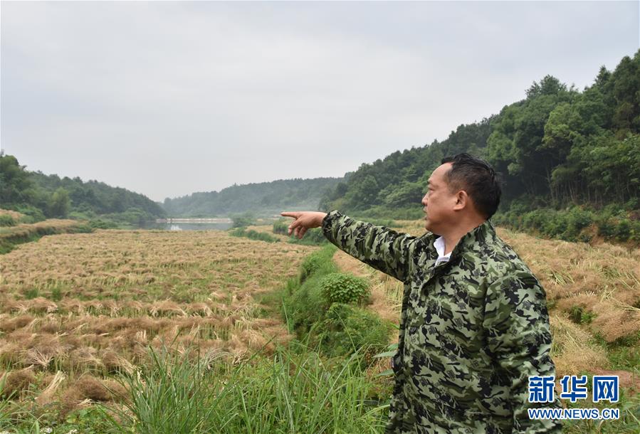 （代表委員履職·圖文互動）（2）“我是農(nóng)民代表，始終關(guān)注農(nóng)村”——全國人大代表沈昌健的履職故事