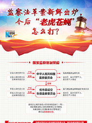 監(jiān)察法草案新鮮出爐 今后“老虎蒼蠅”怎么打？