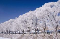 全國(guó)初雪時(shí)間表出爐 看看你離初雪還有多遠(yuǎn)？