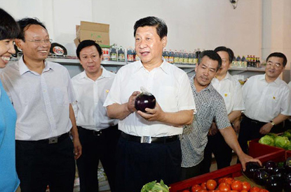 習(xí)近平：中國革命歷史是最好的營(yíng)養(yǎng)劑