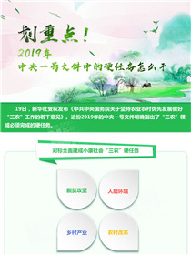 劃重點！2019年中央一號文件中的硬任務(wù)怎么干