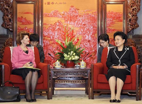 劉延?xùn)|會(huì)見歐盟委員會(huì)教育、文化、語言多樣性及青年事務(wù)委員瓦西利烏
