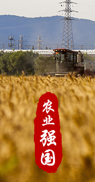 農(nóng)業(yè)強(qiáng)國(guó)是社會(huì)主義現(xiàn)代化強(qiáng)國(guó)的根基。