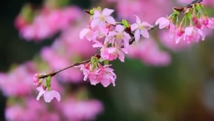 春分時(shí)節(jié)，關(guān)注身體健康