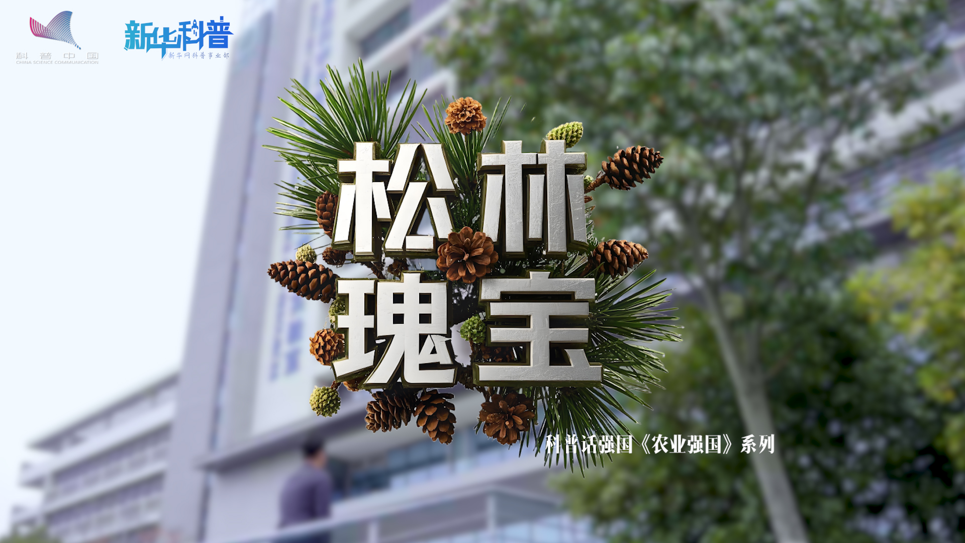 新華科普丨科普話強(qiáng)國(guó)農(nóng)業(yè)強(qiáng)國(guó)系列《松林瑰寶》