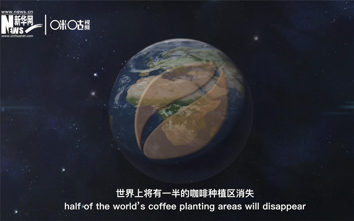 科學(xué)家預(yù)測到三十年后，世界上將有一半的咖啡種植區(qū)消失