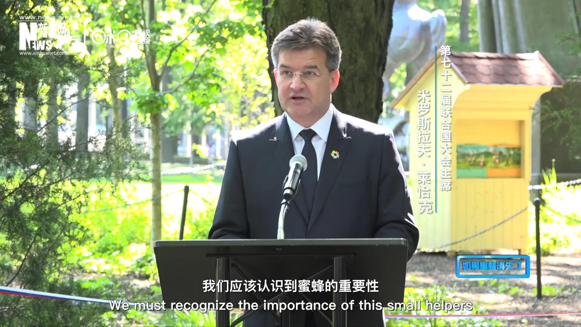 我們應(yīng)該認(rèn)識(shí)到蜜蜂的重要性，所以我們用“世界蜜蜂日”提高大家保護(hù)蜜蜂的意識(shí)，并且用實(shí)際行動(dòng)去保護(hù)蜜蜂