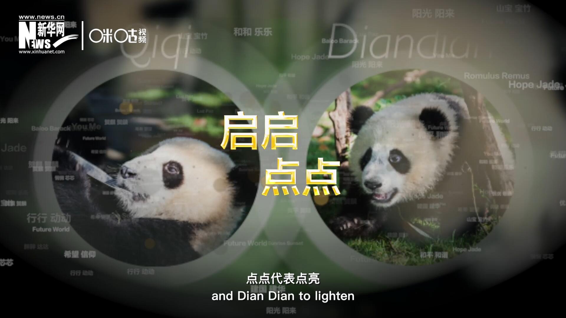 啟啟代表“啟發(fā)”，點(diǎn)點(diǎn)代表“點(diǎn)亮”，象征著2030年可持續(xù)發(fā)展議程 的“起點(diǎn)”，也象征著全球可持續(xù)發(fā)展路徑的新起點(diǎn)。