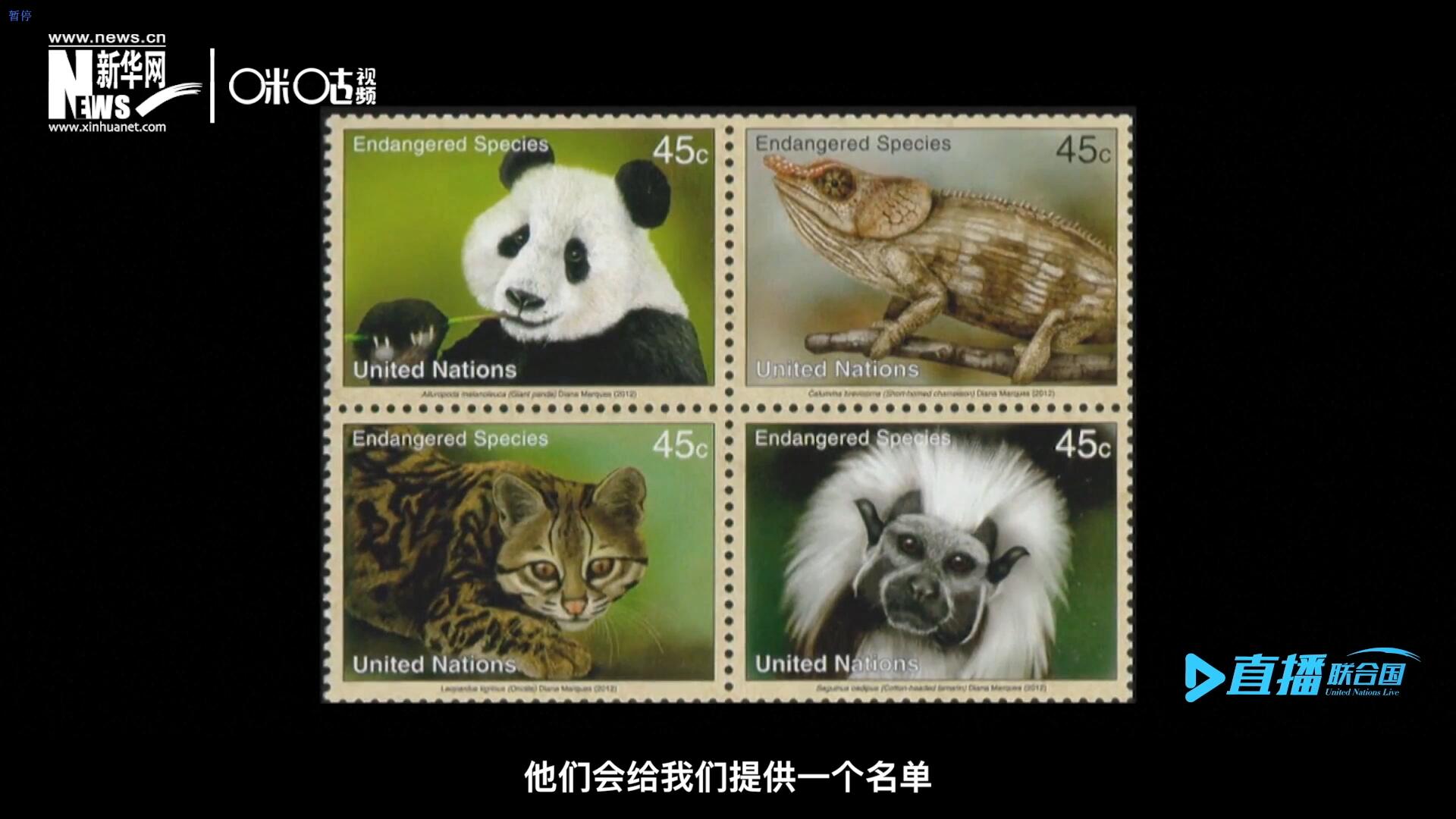 CITES（瀕危野生動植物種國際貿(mào)易公約）會給聯(lián)合國郵政設(shè)計(jì)師提供一個(gè)名單，雙方共同合作在附錄中找到名單中應(yīng)該受到關(guān)注的動物。