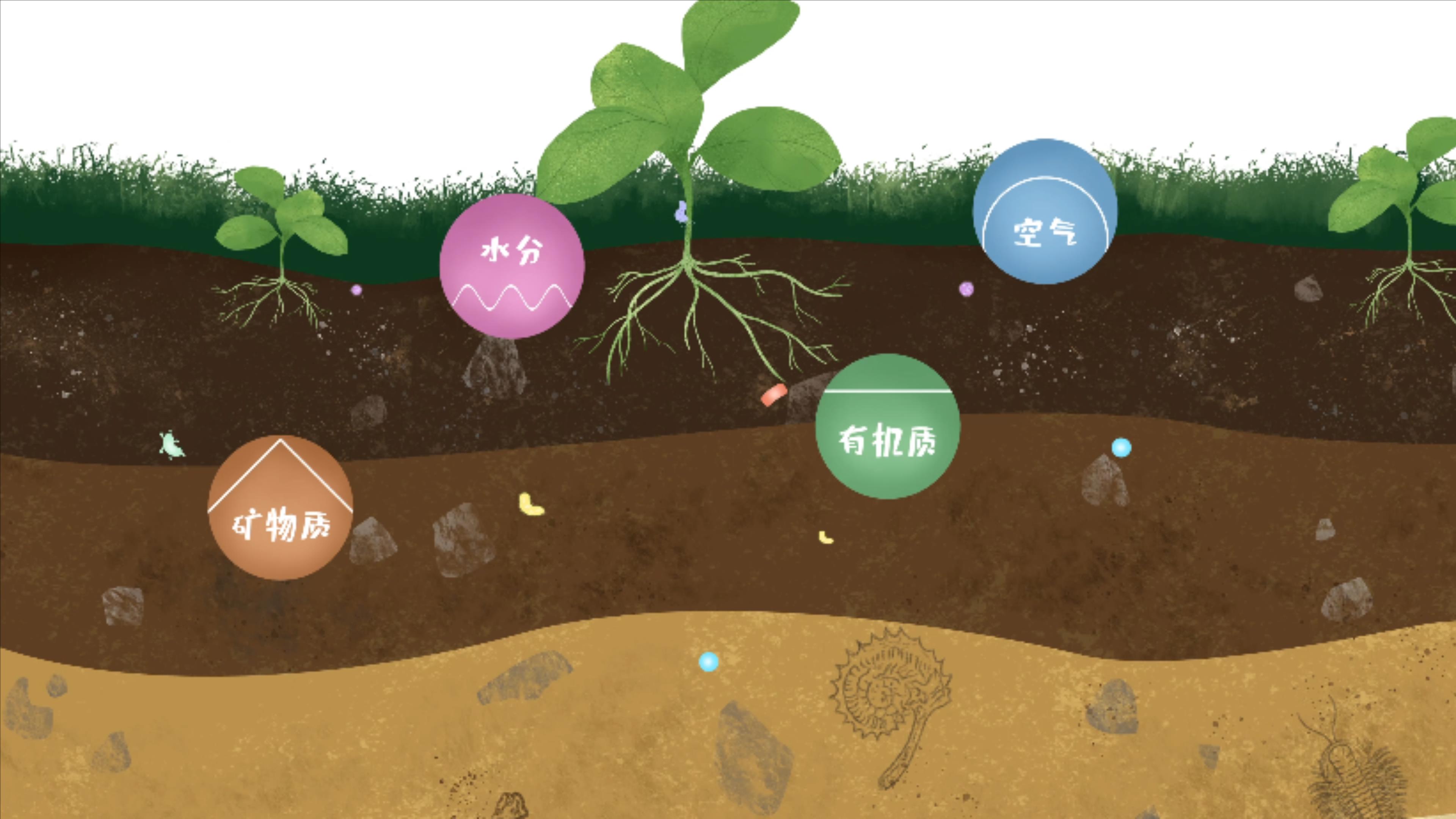 土壤由礦物質(zhì)、有機(jī)質(zhì)、水分、空氣及包括微生物在內(nèi)的生物體等組成