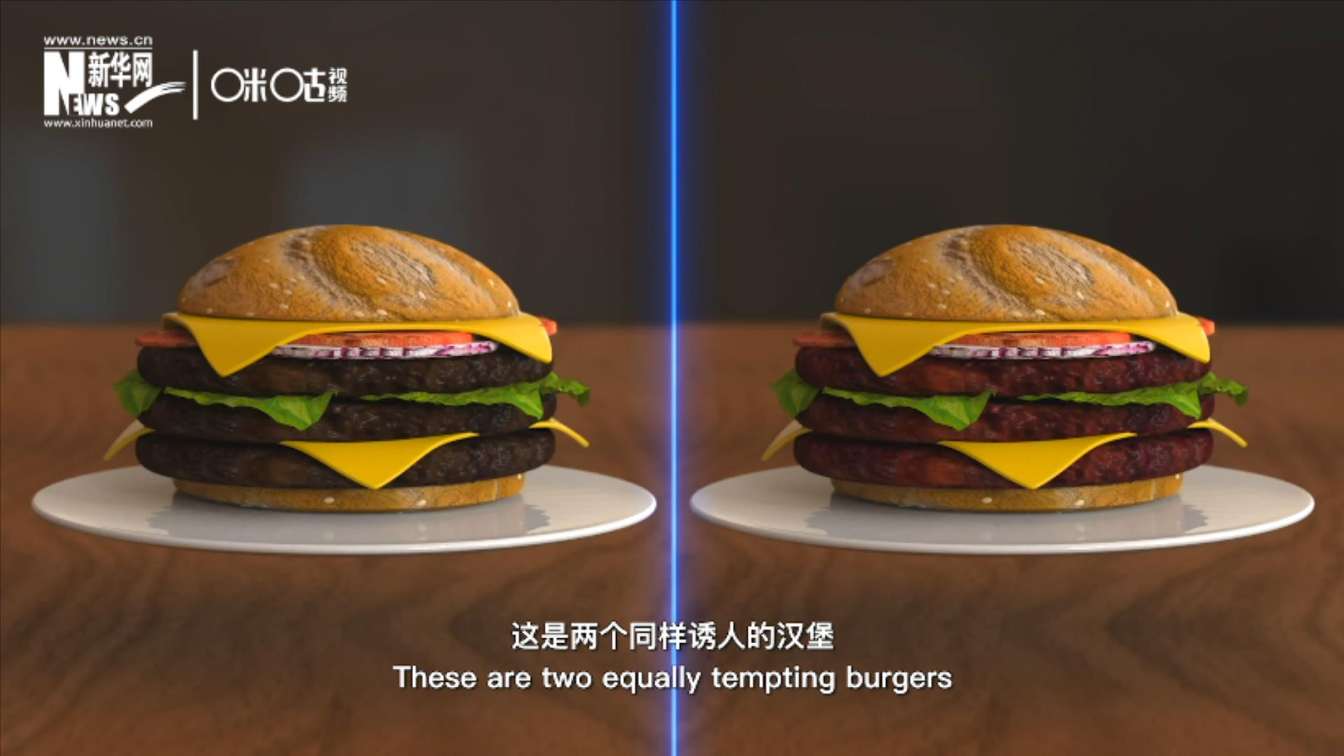 人造肉漢堡能在生產(chǎn)過程中節(jié)約水、土地、排放以及能量