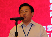 國際旅游投資協(xié)會副會長、巔峰智業(yè)首席顧問劉鋒