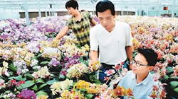 臺(tái)商眼中的改革開(kāi)放：風(fēng)景這邊獨(dú)好 要去，要去，要去！
