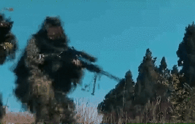 突入，擊斃！直擊武警特戰(zhàn)反劫持演練！