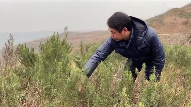 新春走基層｜脫貧后，駐村扶貧隊(duì)長在干啥？