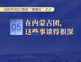習近平2021兩會“微鏡頭”之三 3月5日 在內(nèi)蒙古團，這些事談得很深