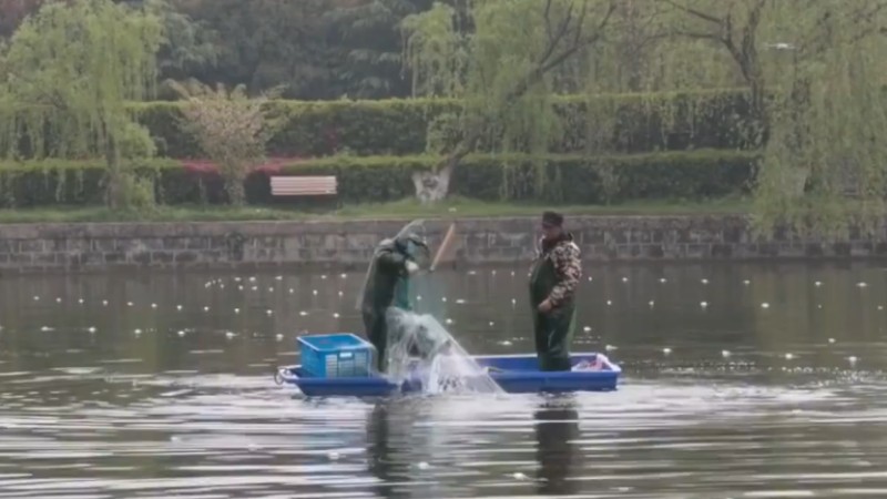 別人家的學校！安師大請師生吃一萬斤魚