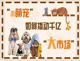 “小萌寵”如何撬動千億“大市場”？