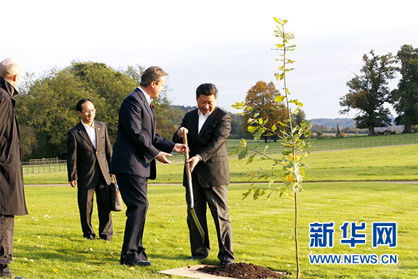 兩國(guó)領(lǐng)導(dǎo)人一同在別墅草坪，共同種下象征中英友誼的橡樹(shù)。新華社記者 鞠鵬 攝